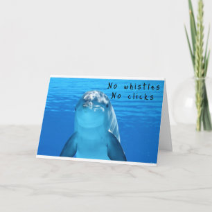 DOLFIN ZAL "PRAAT" OP "ONZE TROUWDAAG" KAART