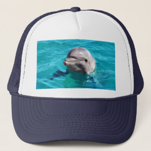Dolfine in Blue Water Foto Trucker Pet