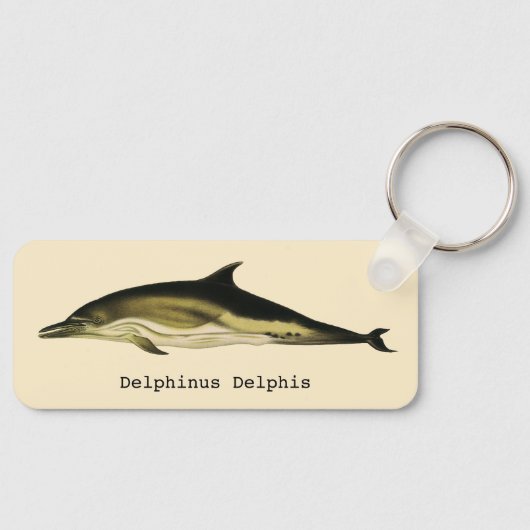  dolfinedelphinus delphis, zeezoogdieren sleutelhanger (Voorkant)