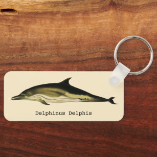  dolfinedelphinus delphis, zeezoogdieren sleutelhanger