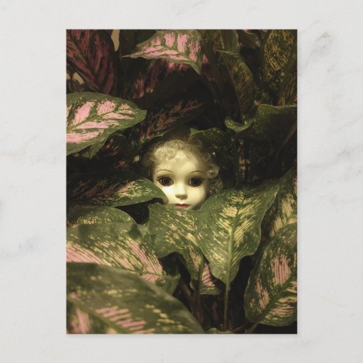 Doll Head in Planten Briefkaart (Voorkant)