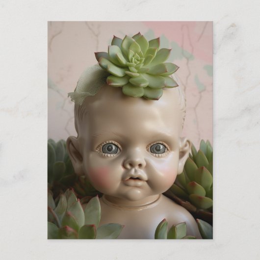 Doll in het Briefkaart Succulente Planten (Voorkant)
