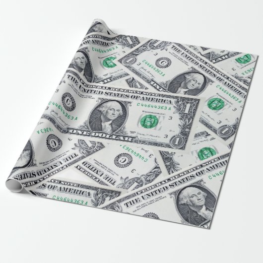 Dollar Bills Cadeaupapier (Uitgerold)