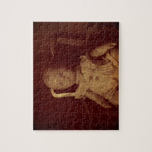  dollar legpuzzel (Verticaal)