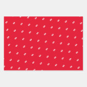 Dollar money sign pattern wrapping paper sheets (Voorkant)