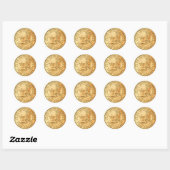 Dollar Munt VS Ronde Sticker (Vel)