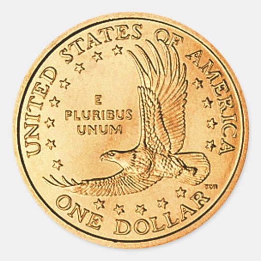 Dollar Munt VS Ronde Sticker (Voorkant)