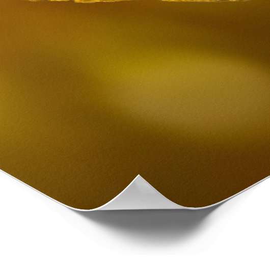 dollar sign poster (Hoek)