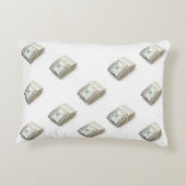 Dollars Accent Kussen (Achterkant)