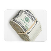 Dollars Magneet (Horizontaal)