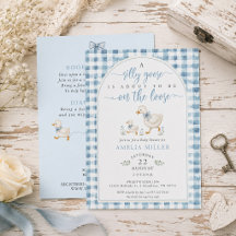 Dolle Gans op de LOOSE Blauwe Gingham Baby Shower