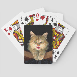 Dolle Kat Schilderij - Mooie Originele Katten Kuns Pokerkaarten