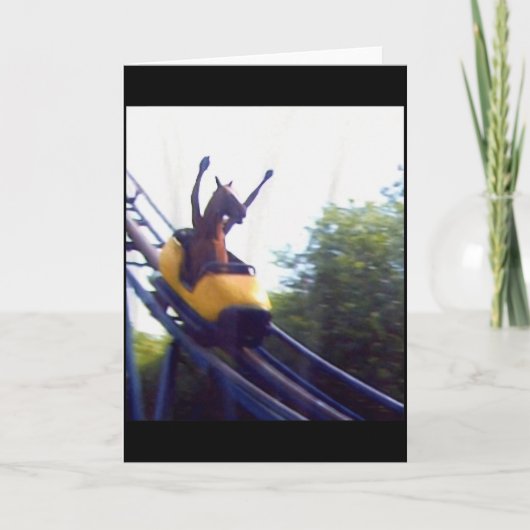 Dolle Paardrijden Achtbaan Meme Internet Fu Kaart (Voorkant)