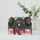 Dolle Shepadoodles Honden Briefkaart (Staand voorkant)