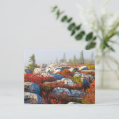 Dolly de Herfst van de Wildernis van Zoden Briefkaart (Staand voorkant)