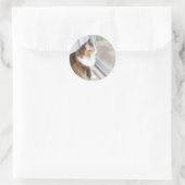 Dolly de Kat Kijkend uit Venster Stickers (Tas)