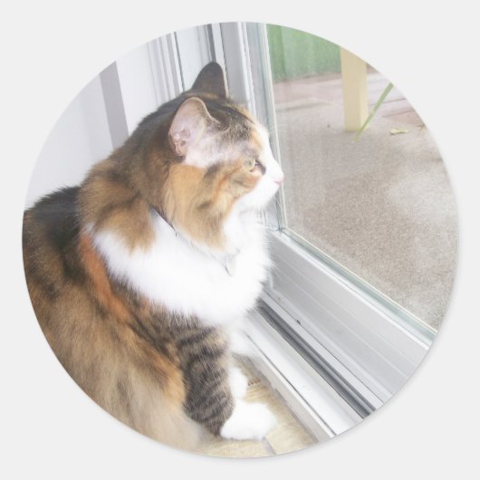 Dolly de Kat Kijkend uit Venster Stickers (Voorkant)