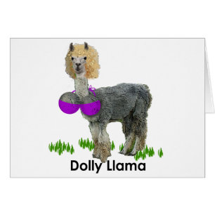 Dolly Llama