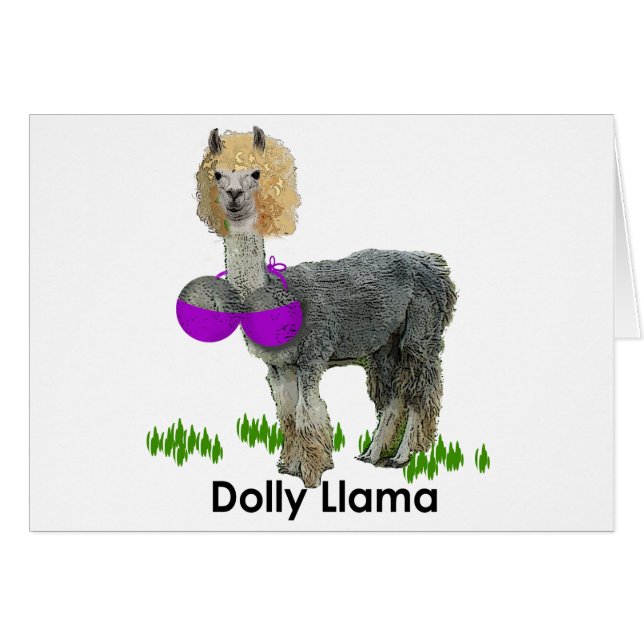 Dolly Llama (Voorkant Horizontaal)
