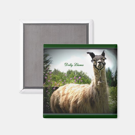 Dolly Llama Magnet (Voorkant / Achterkant)