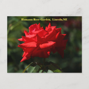 Dolly Parton Briefkaart HRG 700 2014