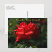 Dolly Parton Briefkaart HRG 700 2014 (Voorkant / Achterkant)