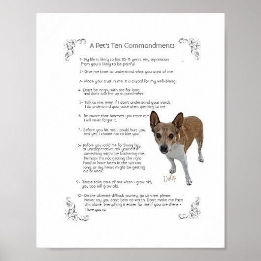 Dolly - Poster (Voorkant)