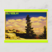 "DOLLY SODS" ART BRIEFKAART (Voorkant)