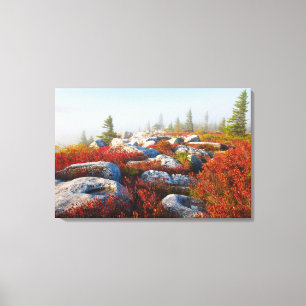 Dolly Sods Wilderness Herfst Schilderachtig met mi Canvas Afdruk