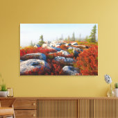 Dolly Sods Wilderness Herfst Schilderachtig met mi Canvas Afdruk (Insitu (Woonkamer))