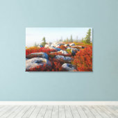Dolly Sods Wilderness Herfst Schilderachtig met mi Canvas Afdruk (Insitu (Houten vloer))