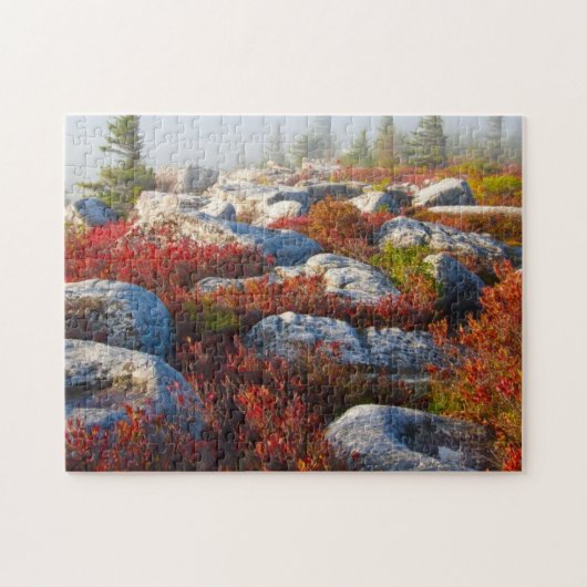 Dolly Sods Wilderness Herfst Schilderachtig met mi Legpuzzel (Horizontaal)