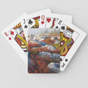 Dolly Sods Wilderness Herfst Schilderachtig met mi Pokerkaarten