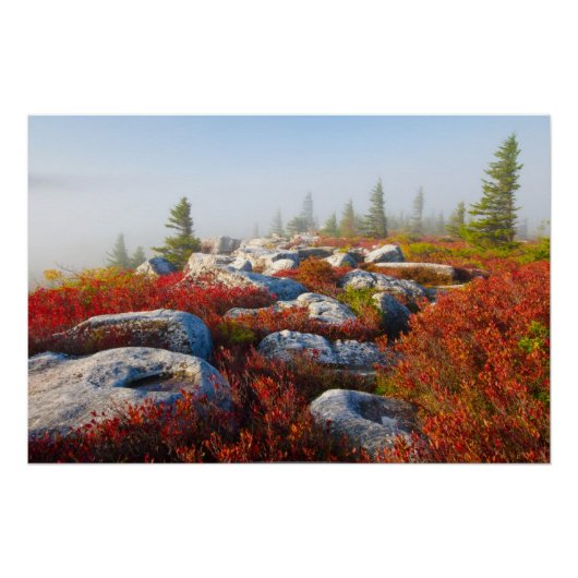Dolly Sods Wilderness Herfst Schilderachtig met mi Poster (Voorkant)