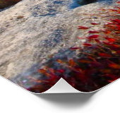 Dolly Sods Wilderness Herfst Schilderachtig met mi Poster (Hoek)