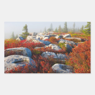 Dolly Sods Wilderness Herfst Schilderachtig met mi Rechthoekige Sticker