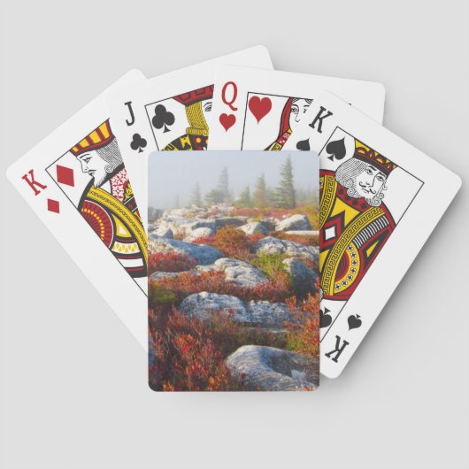 Dolly Sods Wilderness Herfst Schilderachtig met mi Speelkaarten (Achterkant)