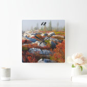 Dolly Sods Wilderness Herfst Schilderachtig met mi Vierkante Klok (Huis)