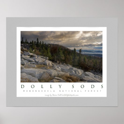 Dolly Sods Wilderness in West Virginia Poster (Voorkant)