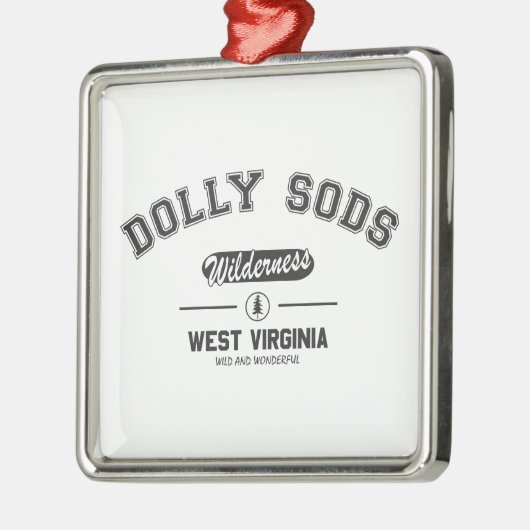 Dolly Sods Wilderness Metalen Ornament (Links)