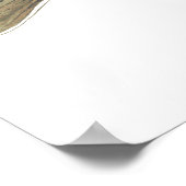 Dolly Varden Trout Art Poster (Hoek)