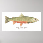 Dolly Varden Trout Art Poster (Voorkant)
