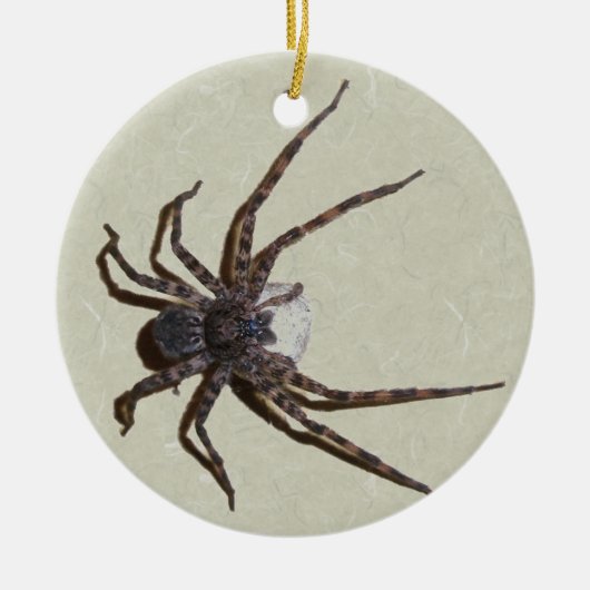 Dolomedes Mama Spin Kerstmis Ornament (Voorkant)