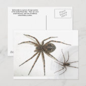 Dolomedes Mannelijke en Vrouw Spiers Briefkaart (Voorkant / Achterkant)