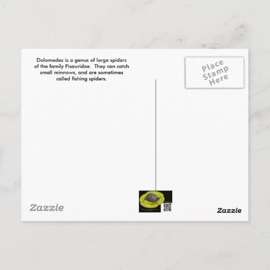Dolomedes Mannelijke en Vrouw Spiers Briefkaart (Achterkant)