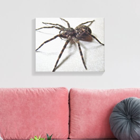 Dolomedes tenebrosus - Geviste spin Canvas Afdruk (Insitu (Woonkamer))