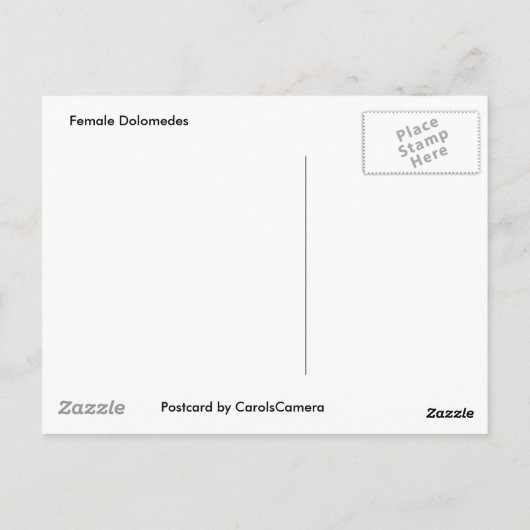 Dolomedes Vrouw Briefkaart (Achterkant)