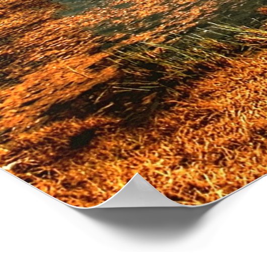 Dolomietenbergen, italië poster (Hoek)