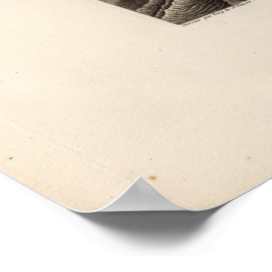 Dolomieu Poster (Hoek)