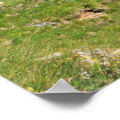 Dolomiti - Fedaia-pas met meer Poster (Hoek)